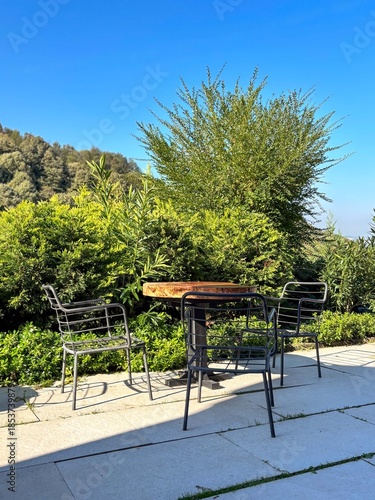 Metal Chairs and Wooden Slab Table on Stone Patio in Garden