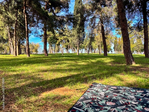 Low Angle Shot of Picnic Mat on Grass in Sunny Park