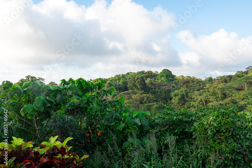 Panoramic View of North Bay Island and Tropical Coastline from Mount Harriet, Andaman Islands, India
