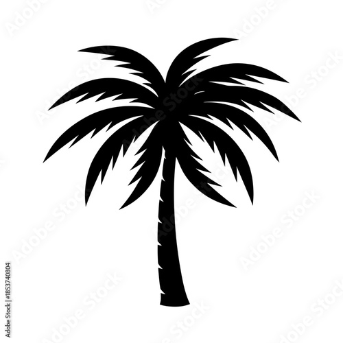 vector clip art palm tree on white background for web and graphic design