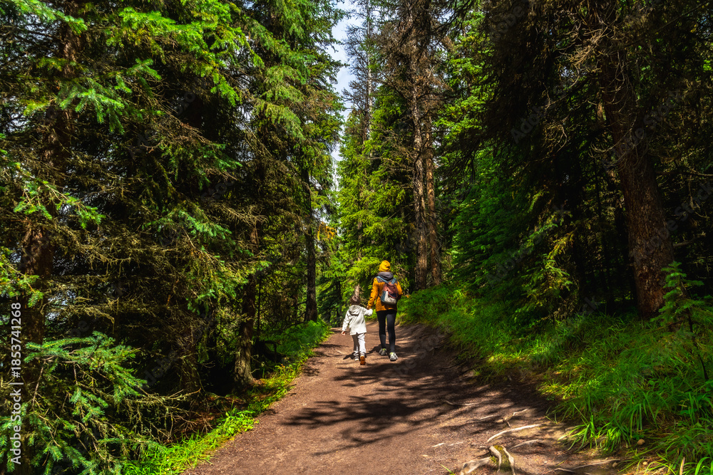 Obraz premium Hikers walking on a path in maligne lake forest, jasper national park
