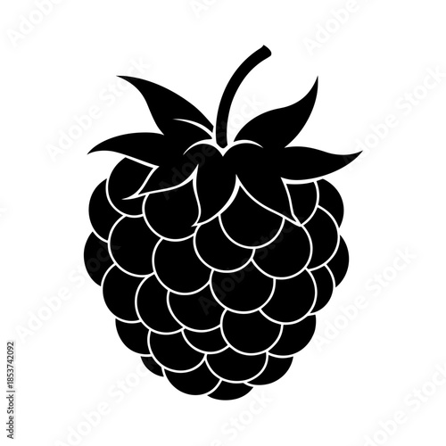 vector clip art raspberry with black outline for web and graphic design