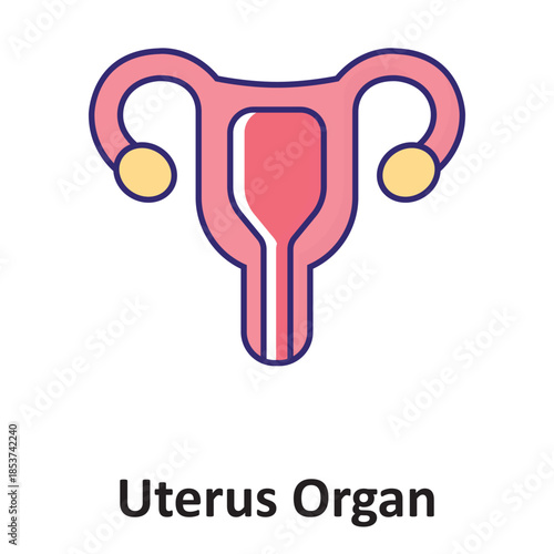Uterus Organ Vector Icon which can easily modify or edit