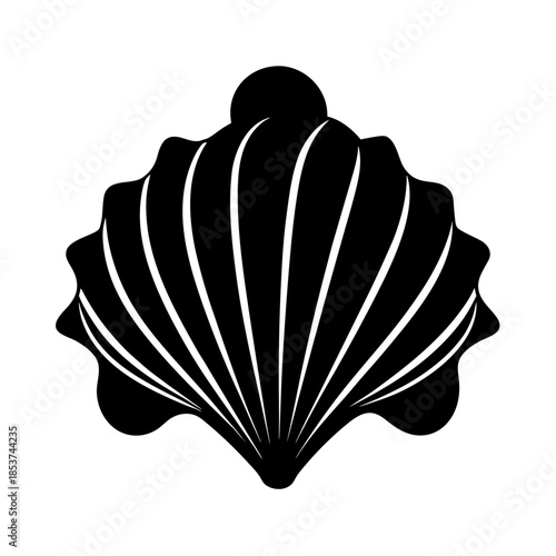 vector clip art seashell for web and graphic design