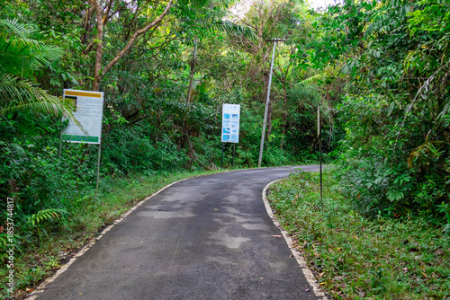 Curved Road Through Tropical Forest Leading to Mount Harriet National Park, Andaman Islands, India

