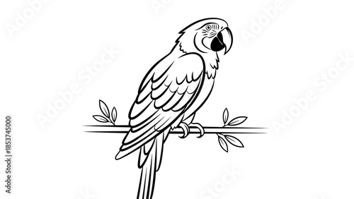 Vector illustration of a colorful exotic macaw parrot with bright blue and green feathers perched on a tropical tree branch isolated on a white background