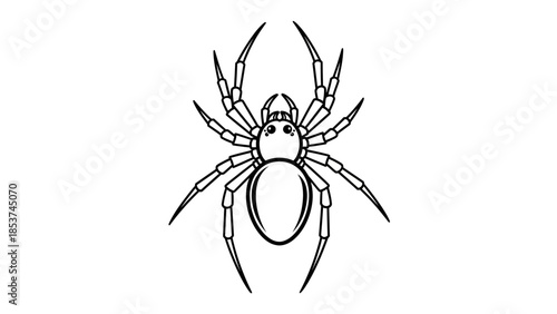 Black Spider Insect Bug Line Icon Vector