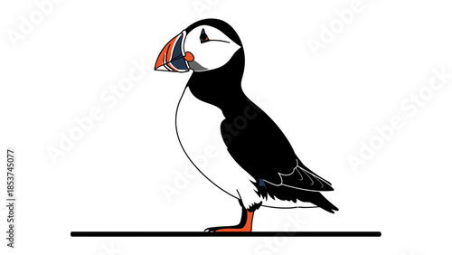 A cute black crow wearing a hat perched on a branch, featuring a colorful orange beak and detailed feathers in a wildlife nature illustration isolated against a white background