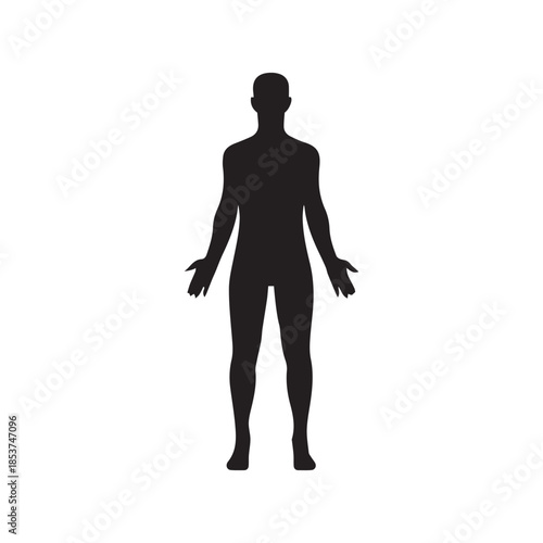 Male human body belonging to an adult man