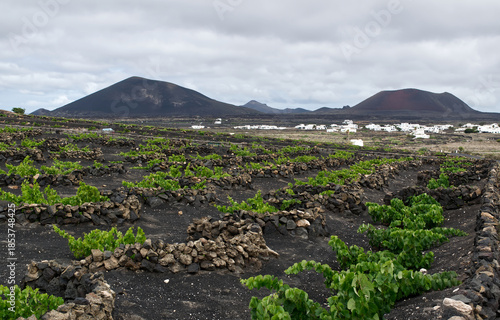 Landscape of a sea of volcanic lava in Lanzarote, Canary Islands, Spain