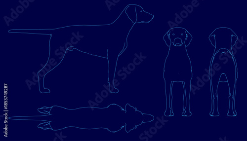 American Foxhound contour drawing features a clean blue outline on a blue background alongside two other distinct dog breeds.