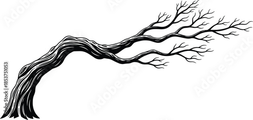 Bare tree branch silhouette illustration, twisted wood limb design, abstract nature element, black and white botanical art, dramatic minimal graphic