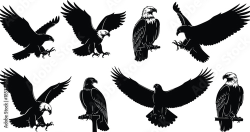 Eagle silhouette set, flying and perched birds of prey poses, black vector illustration collection, wildlife nature design icons, isolated