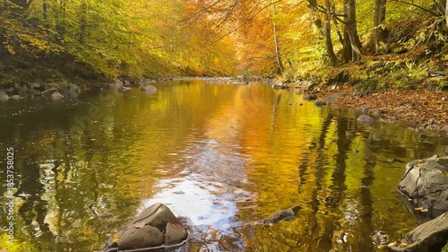 A tourist traveling along a clear mountain river in autumn in the Ukrainian Carpathians. Incredible autumn colors: gold and orange, red and yellow.