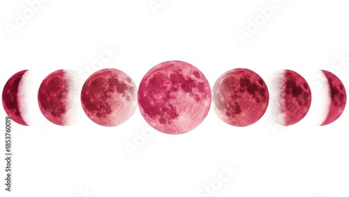 Phases of the Moon - A Visual Journey Through Lunar Cycles.