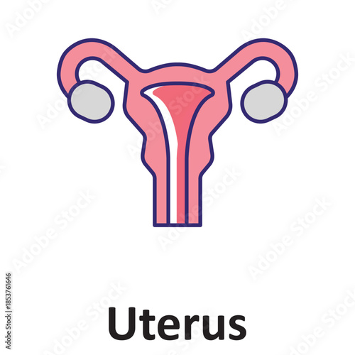 Uterus  Vector Icon which can easily modify or edit