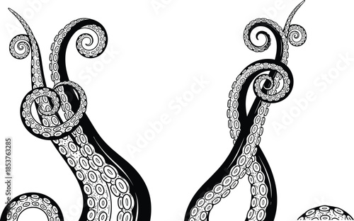 Octopus tentacle silhouette, black and white illustration, marine design, curling suction cups, underwater art, symmetrical shape, sea creature, minimal style