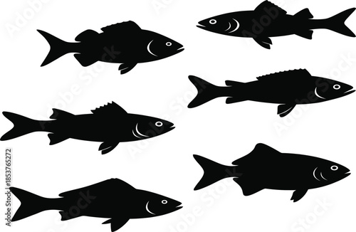Silhouettes of six fish swimming in different directions