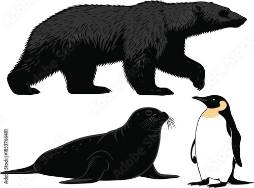 Wildlife illustration of a bear seal and penguin in a simple graphic style