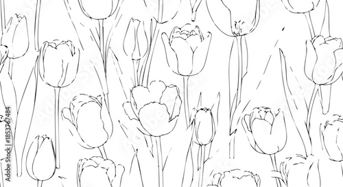 Elegant tulip flower pattern with delicate lines, perfect for spring backgrounds, invitations, and artistic designs. Stylish floral elegance abounds