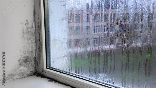 water droplets streaming down wet glass window pane. fungal colonization on window. dampness and persistent moisture lead to development of black mold and mildew. condensation on glass of window.