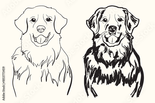 Vintage Black Golden Retriever Illustartion