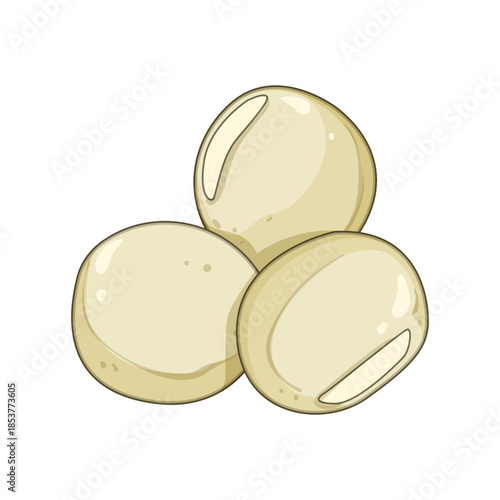 Three white bean seeds portraying a healthy eating concept, ideal for topics related to plant based protein, agriculture, or vegetarian and vegan diets