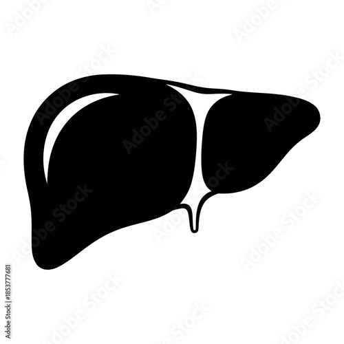 A simple black silhouette vector graphic depicting a human liver organ