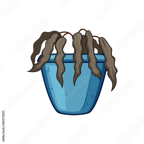 Potted houseplant with brown, wilted leaves on a white background, illustrating neglect, dehydration, decline and failure in indoor plant care and responsibility