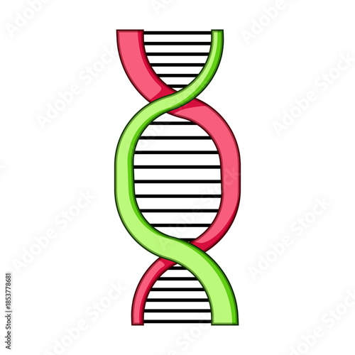 Dna double helix structure with intertwined red and green strands representing genetics, heredity, biological research, personalized medicine, and scientific innovation