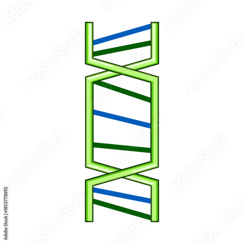 Dna molecule illustration showing the double helix structure with green backbone and colored rungs, symbolizing life, genetics, science, and the fundamental building blocks of heredity