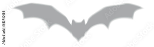 Bat silhouette with shadow effect, gray blurred color.