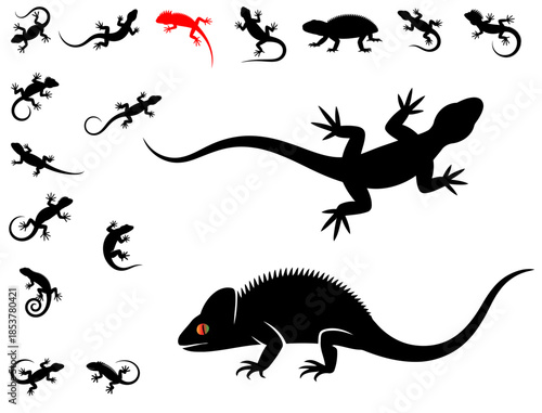 Various silhouettes of reptiles, a collection of lizard types