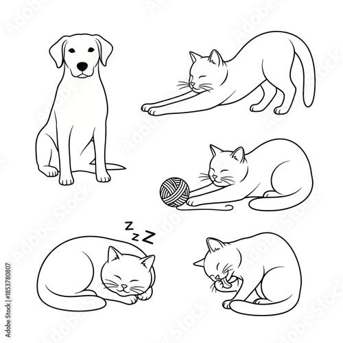Collection of Line Art Illustrations Featuring a Dog and Cats.