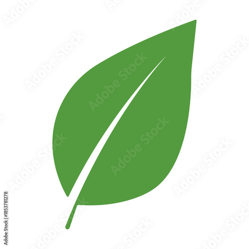 Simple Leaf A single vibrant green leaf, symbolizing nature's vitality and freshness, isolated, perfect for representing eco-consciousness and natural elements.