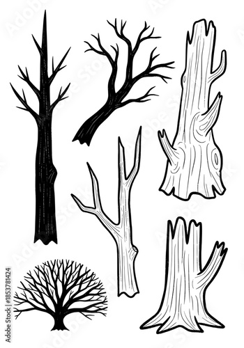 Detailed hand-drawn set of six monochrome bare trees, skeletal branches, and aged wooden stumps featuring natural organic textures isolated on white