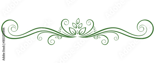 Elegant Flourish of Nature A delicate green ornamental flourish, reminiscent of nature's beauty, gracefully curves across the space, adding a touch of elegance and natural charm.