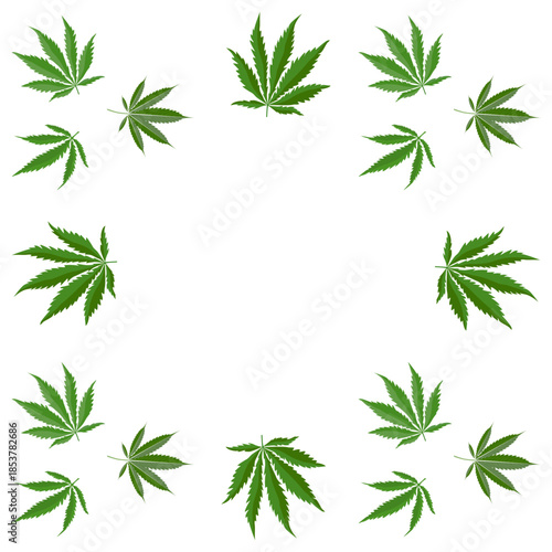 Vector pattern with green cannabis leaves arranged in a circular composition on a white background, suitable for medical cannabis, cbd branding, packaging, labels and wellness design.