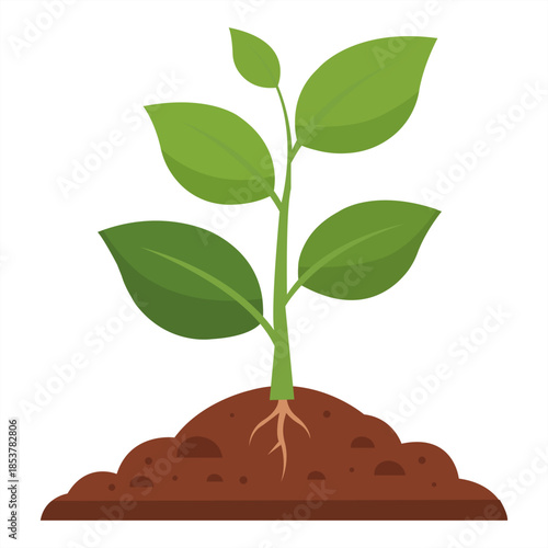 Sprout of Life A vibrant green sprout emerges from the soil, symbolizing growth and the promise of life. It evokes a feeling of hope and renewal.