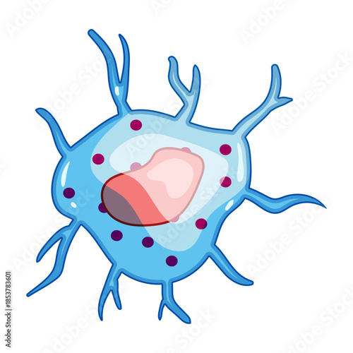 Immune system cell, likely a dendritic cell or macrophage, is depicted with its nucleus and tentacle like extensions, representing the body's defense mechanism against infections and diseases