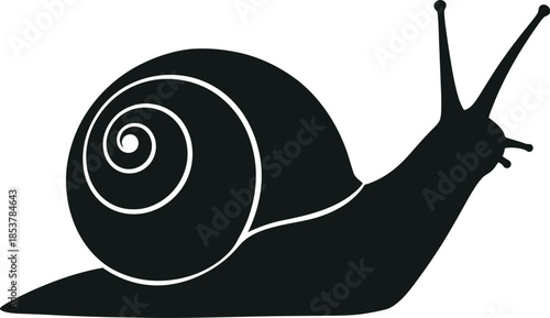 A simple black and white illustration of a snail in profile view