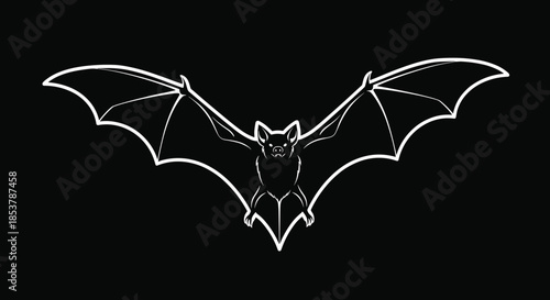 Stylized white line illustration of a bat with spread wings isolated on a dark black background for halloween and spooky themes.