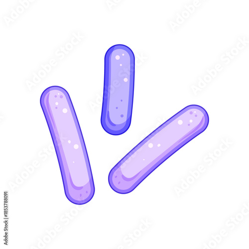 Rod shaped lactobacilli bacteria representing a healthy microbiome and the scientific concept of probiotics for human digestive system health and beneficial microbes