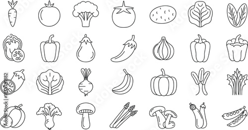 Collection of Hand Drawn Vegetable Icons in Outline Style on White Background carrot tomato