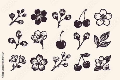 Set of hand-drawn cherry flowers, buds, cherries, and leaves in ink style on light cream background. Concept of spring, nature, and flora