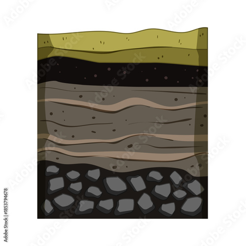 Soil layers cross section illustrating the different horizons and composition of earth's ground, including topsoil, subsoil, and bedrock, vital for geology and agricultural studies