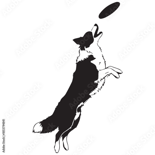 Dog jumping to catch frisbee in mid air playfully