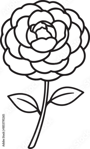 Black and white line of a rose with leaves on a stem flower line black and white petals
