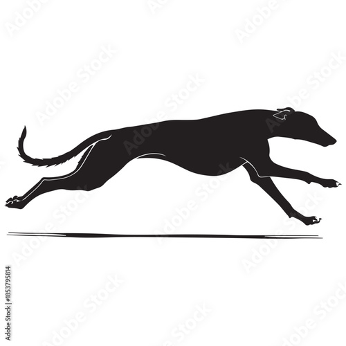 Sleek greyhound running in motion with dynamic stride