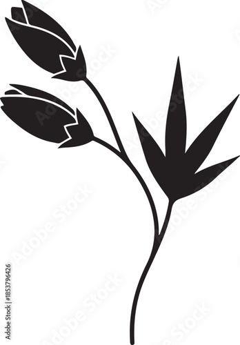 Black and white silhouette of a leaf and buds on a stem